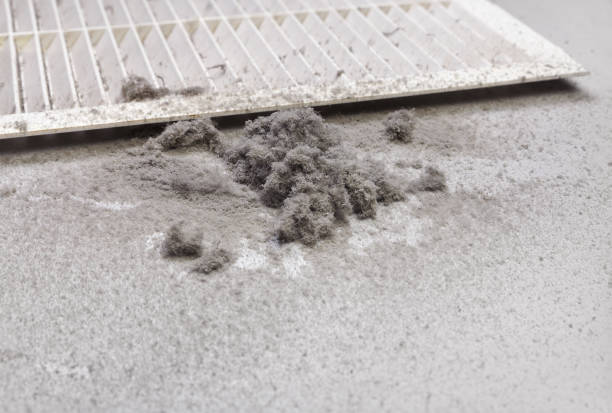 Best Ductwork Cleaning Services  in Morris Plains, NJ