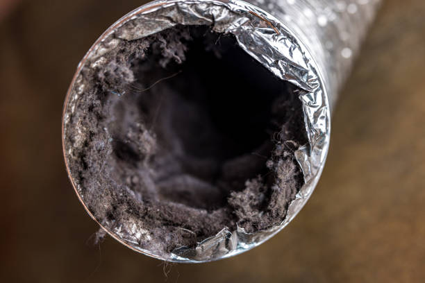 Best Home Air Vent Cleaning  in Morris Plains, NJ
